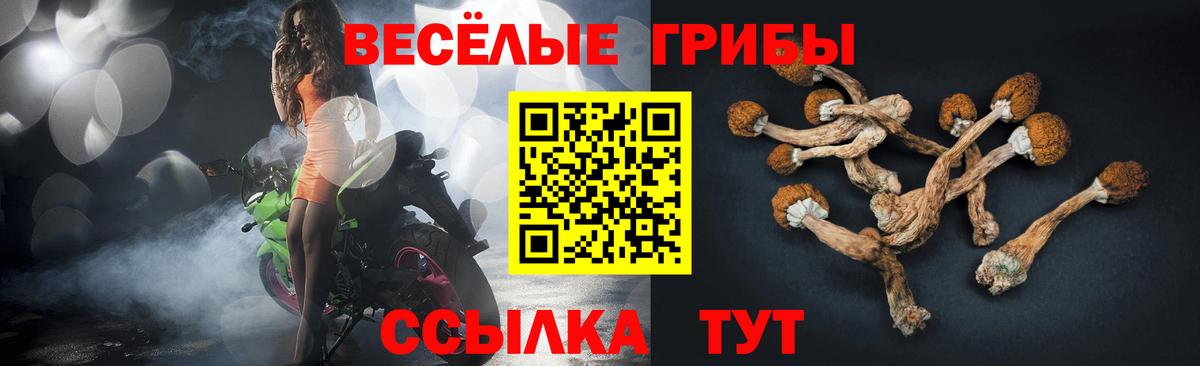 Псилоцибиновые грибы Cubensis Кисловодск